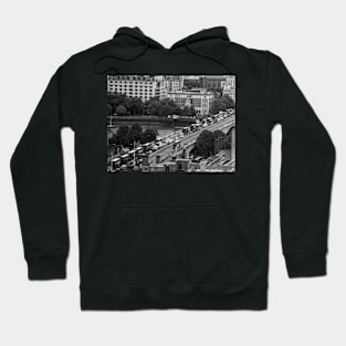 Don't go with the flow! Hoodie